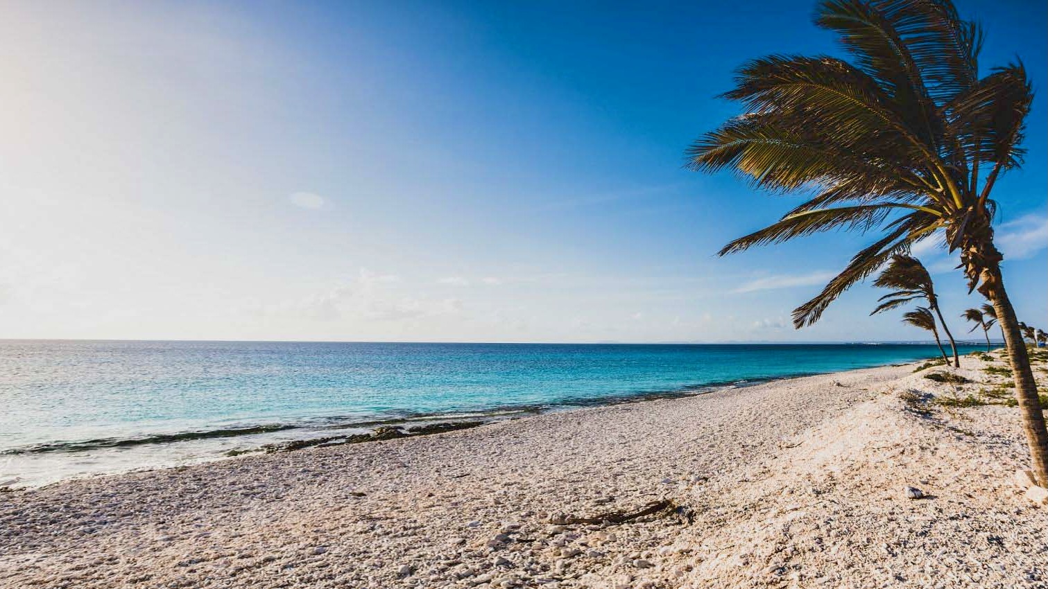 Kralendijk-Boutique-Hotel - Pink Beach
